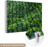 Plantations de thé Inde Glas 120x80 cm - Tirage photo sur Glas (décoration murale plexiglas)