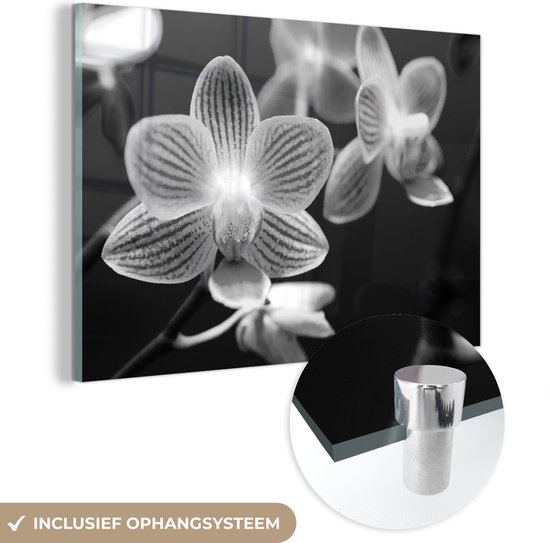MuchoWow® Glasschilderij 90x60 cm - Schilderij acrylglas - Orchidee bloem - zwart wit - Foto op glas - Schilderijen