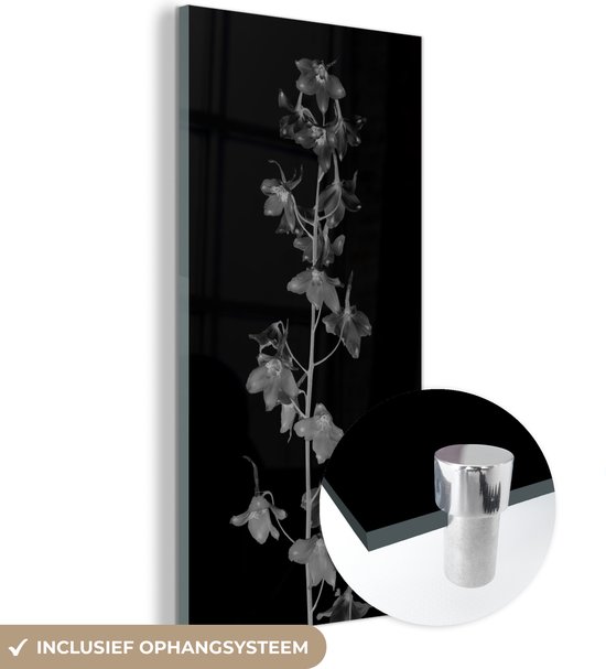 MuchoWow® Glasschilderij 40x80 cm - Schilderij acrylglas - Plantportret van de Delphinium bloem - zwart wit - Foto op glas - Schilderijen