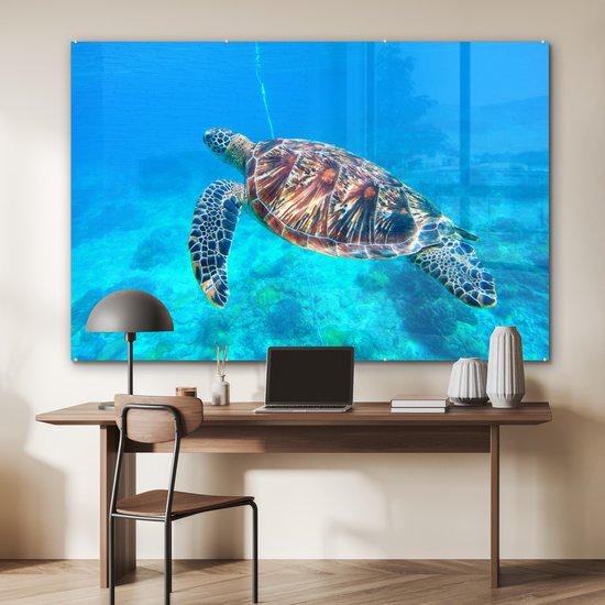 MuchoWow® Peinture sur Verre - Tortue - Mer - Blauw - 180x120 cm - Peintures sur Verre Acrylique - Photo sur Glas