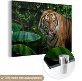 Peinture sur verre - Animaux - Tropical - Tigre - 90x60 cm - Peintures Plexiglas