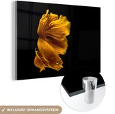 MuchoWow® Glasschilderij 60x40 cm - Schilderij acrylglas - Vissen - Dieren - Water - Goud - Foto op glas - Schilderijen