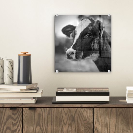 Peinture sur verre - Un portrait en gros plan d'un veau d'une vache frisonne - noir et blanc - 20x20 cm - Peintures Plexiglas
