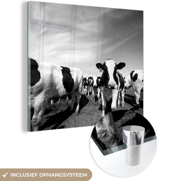 MuchoWow® Glasschilderij 90x90 cm - Schilderij acrylglas - Een grote kudde Friese koeien - zwart wit - Foto op glas - Schilderijen