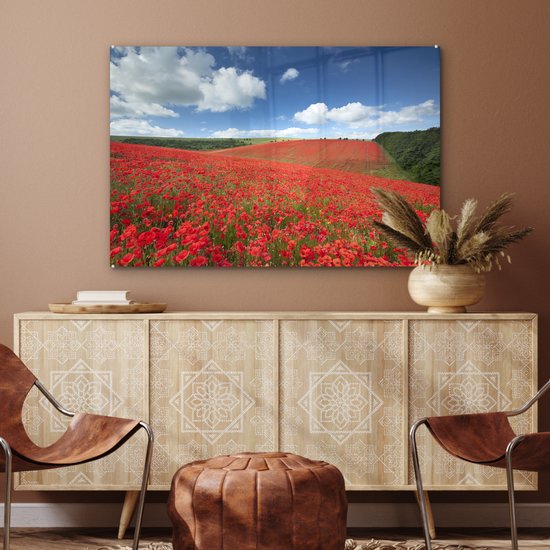 MuchoWow® Peinture sur verre 90x60 cm - Peinture sur verre acrylique - Coquelicots - Fleurs - Ciel - Photo sur verre - Peintures