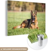 MuchoWow® Glasschilderij 180x120 cm - Schilderij acrylglas - Duitse herdershond ligt op het gras - Foto op glas - Schilderijen