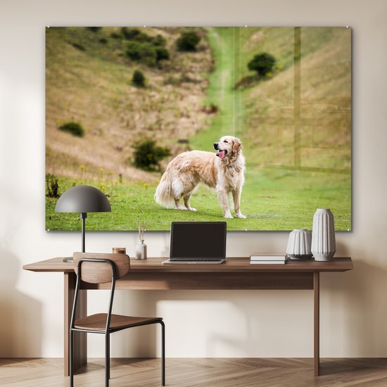 MuchoWow® Glasschilderij 180x120 cm - Schilderij acrylglas - Prachtige afbeelding van een Golden Retriever - Foto op glas - Schilderijen