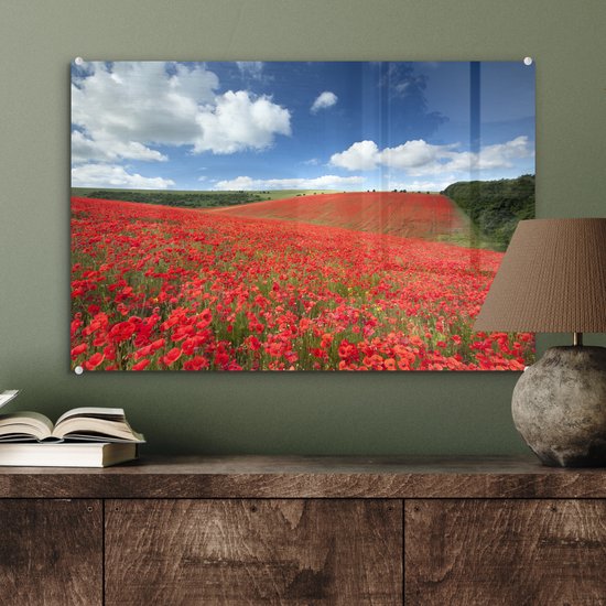 MuchoWow® Peinture sur verre 60x40 cm - Peinture sur verre acrylique - Coquelicots - Fleurs - Ciel - Photo sur verre - Peintures