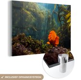 MuchoWow® Glasschilderij 60x40 cm - Schilderij acrylglas - Kelp - Water - Vis - Foto op glas - Schilderijen