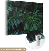 MuchoWow® Glasschilderij 80x60 cm - Schilderij acrylglas - Monstera - Bladeren - Tropisch - Jungle - Foto op glas - Schilderijen