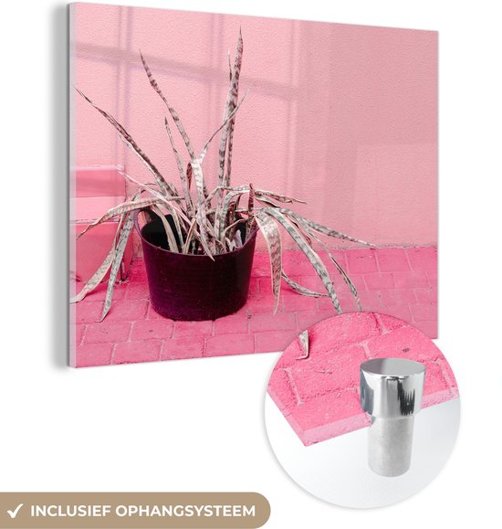 MuchoWow® Peinture sur verre 160x120 cm - Peinture sur verre acrylique - Été - Rose - Plantes - Photo sur verre - Peintures