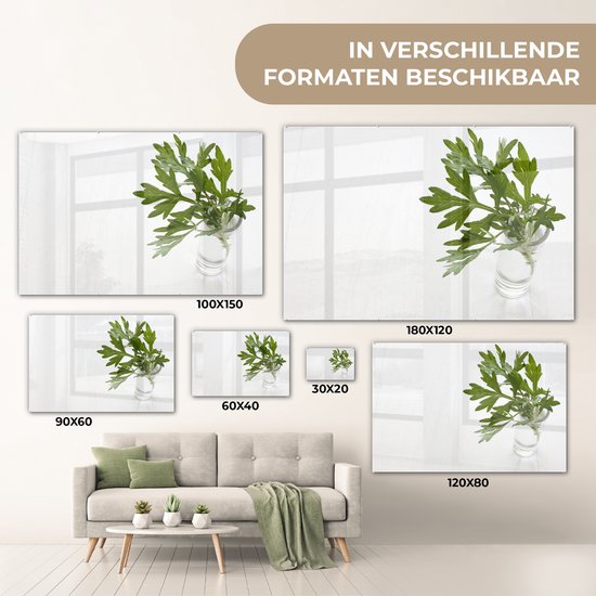 Gros plan des feuilles d'absinthe Plexiglas 120x80 cm - Tirage photo sur Glas (décoration murale plexiglas)