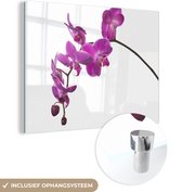 MuchoWow® Glasschilderij 120x90 cm - Schilderij acrylglas - Orchidee tegen witte achtergrond - Foto op glas - Schilderijen