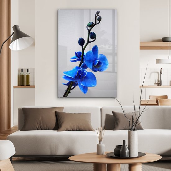 MuchoWow® Peinture sur verre 60x90 cm - Peinture sur verre acrylique - Orchidée bleue - Photo sur verre - Peintures