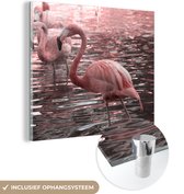 MuchoWow® Glasschilderij 90x90 cm - Schilderij acrylglas - Een groep flamingo's staat in het water - Foto op glas - Schilderijen