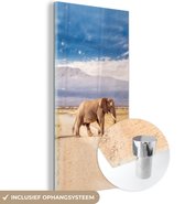 MuchoWow® Glasschilderij 20x40 cm - Schilderij acrylglas - Drie overstekende olifanten - Foto op glas - Schilderijen