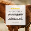 Afbeelding nummer  8