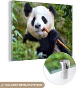 MuchoWow® Glasschilderij 120x90 cm - Schilderij acrylglas - Panda - Bamboe - Bladeren - Foto op glas - Schilderijen