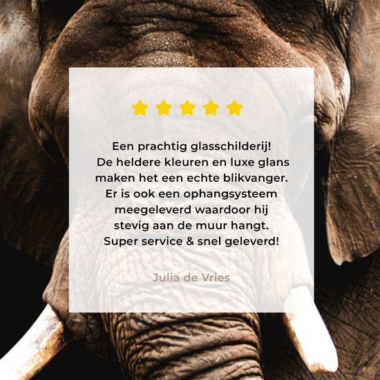 Peintures Plexiglas - Éléphant - Zwart - Animaux - 60x90 cm - Peintures sur verre