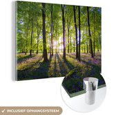 MuchoWow® Peinture sur Verre - Des rayons de soleil illuminent cette forêt de jacinthes étoilées violettes - 150x100 cm - Peintures sur Verre Acrylique - Photo sur Glas