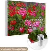 MuchoWow® Glasschilderij 150x100 cm - Schilderij acrylglas - Geranium bloemen in de tuin - Foto op glas - Schilderijen