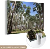 MuchoWow® Glasschilderij 90x60 cm - Schilderij acrylglas - Tuin vol palmbomen in Paramaribo - Foto op glas - Schilderijen