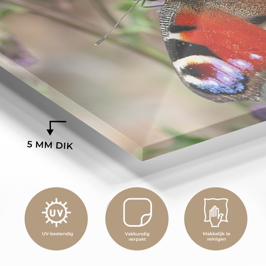 Peinture sur Verre - Papillon Paon - 120x90 cm - Peintures sur Verre Peintures - Photo sur Glas