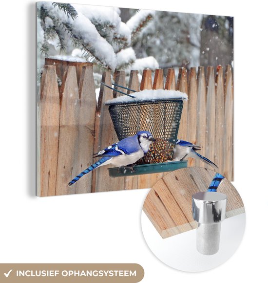 MuchoWow® Glasschilderij 80x60 cm - Schilderij acrylglas - Vogels bij vogelvoeder in de winter - Foto op glas - Schilderijen