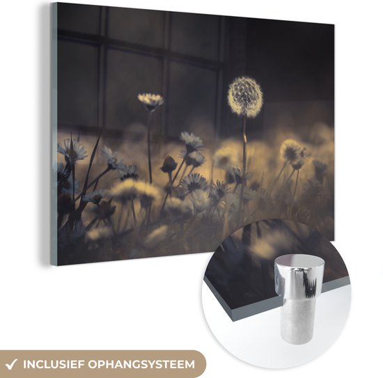 MuchoWow® Glasschilderij 120x80 cm - Schilderij acrylglas - Close-up paardenbloem in een bloemenveld - Foto op glas - Schilderijen