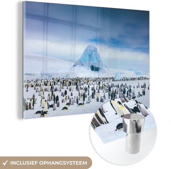 MuchoWow® Glasschilderij 90x60 cm - Schilderij acrylglas - Pinguïns op Antarctica - Foto op glas - Schilderijen