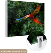 MuchoWow® Glasschilderij 160x120 cm - Schilderij acrylglas - Kleurrijke papegaai is aan het vliegen - Foto op glas - Schilderijen