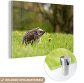 MuchoWow® Glasschilderij 120x80 cm - Schilderij acrylglas - Egel - Bloem - Lente - Foto op glas - Schilderijen