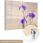 MuchoWow® Glasschilderij 150x100 cm - Schilderij acrylglas - Japanse Irissen - Foto op glas - Schilderijen