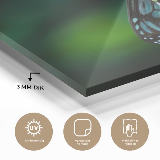 Peinture sur Verre - Papillon sur une Branche Fine - 20x30 cm - Peintures sur Verre Peintures - Photo sur Glas