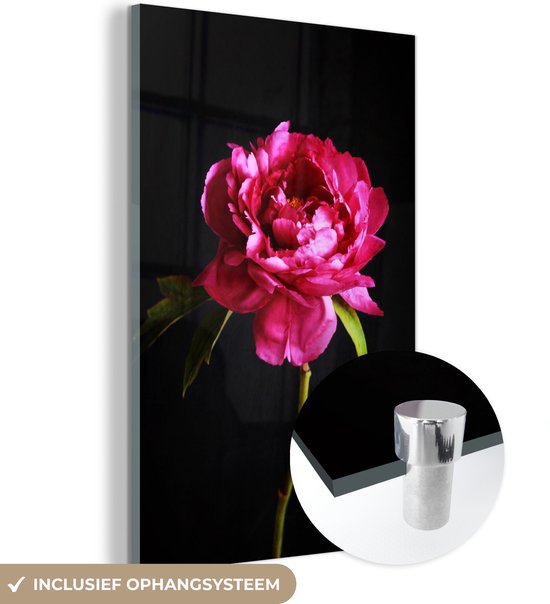 MuchoWow® Peinture sur Verre - Pivoine Rose Foncé - 100x150 cm - Peintures sur Verre Peintures - Photo sur Glas