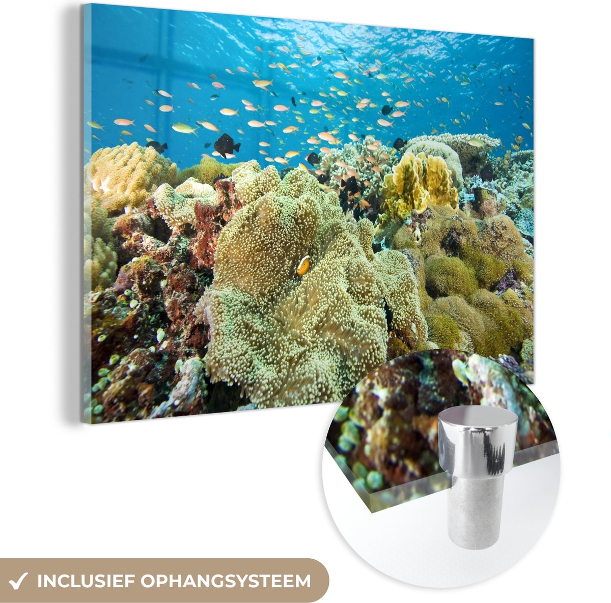 ® Glasschilderij 180x120 cm - Schilderij acrylglas - Koraalrif bij de kust van het Maleisische Sipadan eiland in Azië - Foto op glas - Muurdecoratie woonkamer - Wanddecoratie slaapkamer - Schilderijen