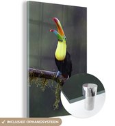 MuchoWow® Peinture sur verre 80x120 cm - Peinture sur verre acrylique - Toucan sous la pluie - Photo sur verre - Peintures