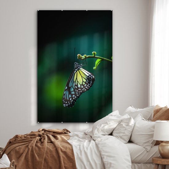 MuchoWow® Peinture sur verre 120x180 cm - Peinture acrylique sur verre - Papillon sur une branche fine - Photo sur verre - Peintures