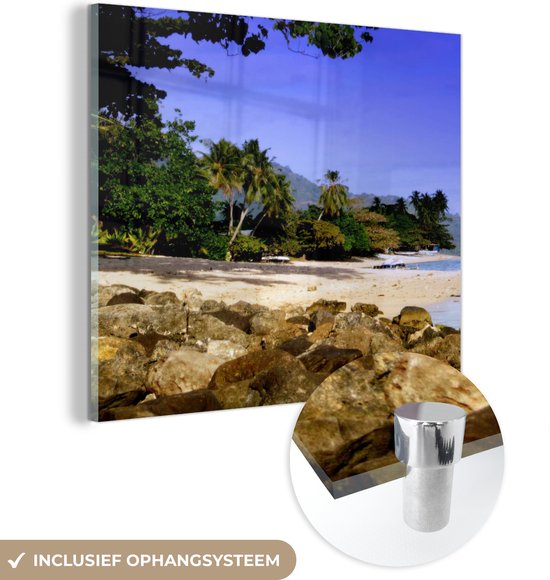 MuchoWow® Glasschilderij 50x50 cm - Schilderij acrylglas - Bomen en stenen bij het strand van Mo'orea - Foto op glas - Schilderijen