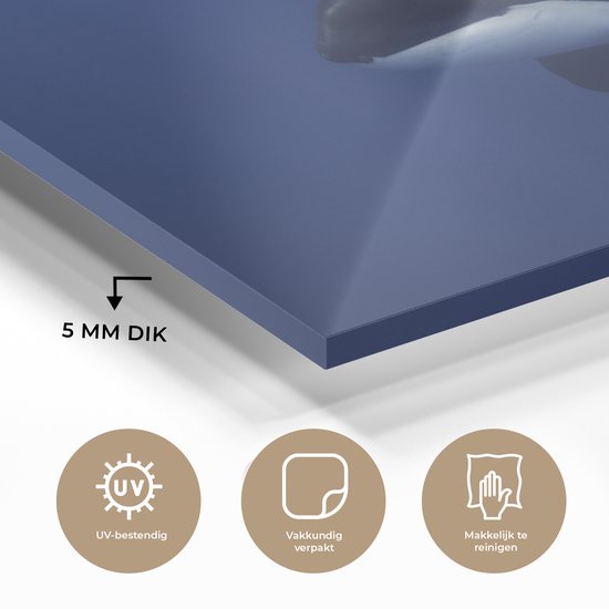 Peinture sur verre - Deux orques dans l'eau claire - 80x60 cm - Peintures acryliques - Photo sur Glas