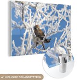 MuchoWow® Glasschilderij 150x100 cm - Schilderij acrylglas - Vogel - Boom - Sneeuw - Foto op glas - Schilderijen