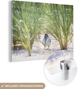 MuchoWow® Glasschilderij 80x60 cm - Schilderij acrylglas - Verstopte stern tussen het gras - Foto op glas - Schilderijen