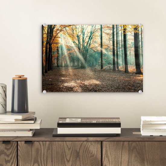 MuchoWow® Peinture sur Verre - Forêt d'Automne aux Nederland - 30x20 cm - Peintures sur Verre Acrylique - Photo sur Glas