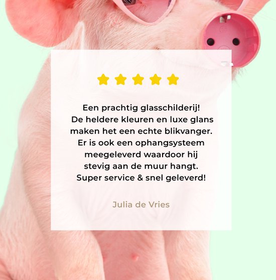 MuchoWow® Peinture sur verre 40x30 cm - Peinture sur verre acrylique - Cochon - Rose - Lunettes - Prise - Animaux - Photo sur verre - Peintures