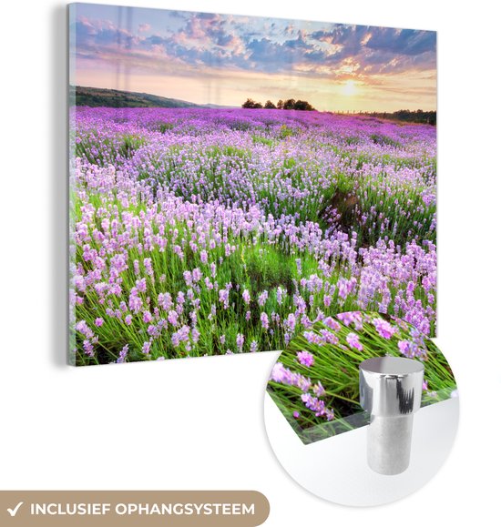 MuchoWow® Glasschilderij 120x90 cm - Schilderij acrylglas - Bloemen - Lavendel - Paars - Lucht - Zonsondergang - Weide - Natuur - Foto op glas - Schilderijen