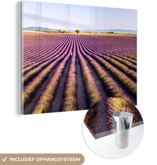 MuchoWow® Glasschilderij 120x90 cm - Schilderij acrylglas - Lavendelvelden in het de Provence van Frankrijk - Foto op glas - Schilderijen