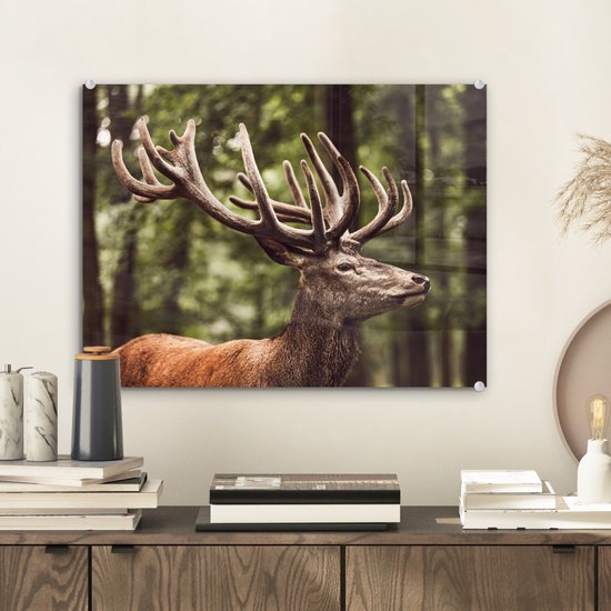 MuchoWow® Peinture sur verre 40x30 cm - Peinture sur verre acrylique - Cerfs - Nature - Bois - Forêt - Animaux - Photo sur verre - Peintures
