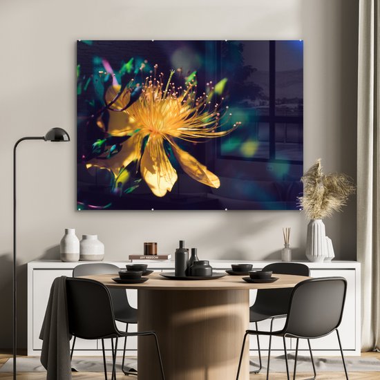 MuchoWow® Peinture sur Verre - Image Conte de Fées de Millepertuis et de Couleurs Jaunes - 120x90 cm - Peintures sur Verre Acrylique - Photo sur Glas