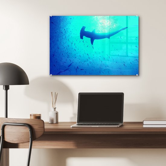 Peinture sur verre MuchoWow® 60x40 cm - Peinture acrylique sur verre - Shark -marteau (Sphyrna mokarran) parmi les poissons - Photo sur verre - Peintures