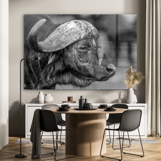 MuchoWow® Peinture sur verre 180x120 cm - Peinture acrylique sur verre - Piquebœuf à bec rouge sur un buffle - noir et blanc - Photo sur verre - Peintures